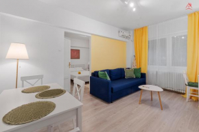 Calea Victoriei Central Apartment